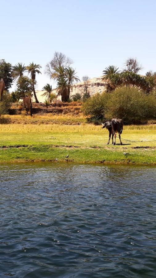 Habibi Nubian Guest House-Nubian Hospitality Assuan Exterior foto